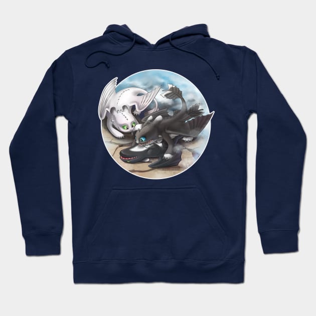 Httyd hoodie deals